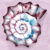 4" x 4" Seashell Canvas Painting Kit by Craft Smart®