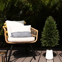 3ft. UV-Resistant Cedar Tree in Decorative White Planter
