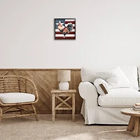 Stupell Industries Americana Rooster Single Star United States Flag Framed Giclee Art