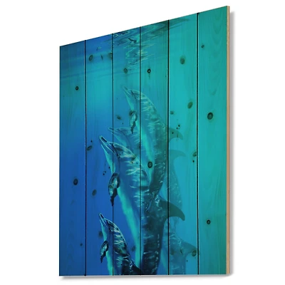 Designart - Dolphin in Blue Sea