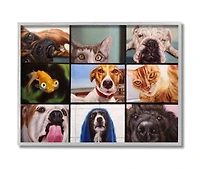 Stupell Industries Animal Video Chat Meeting Wall Art