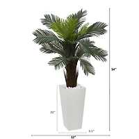 4.5ft. Cycas Plant in White Tower Planter