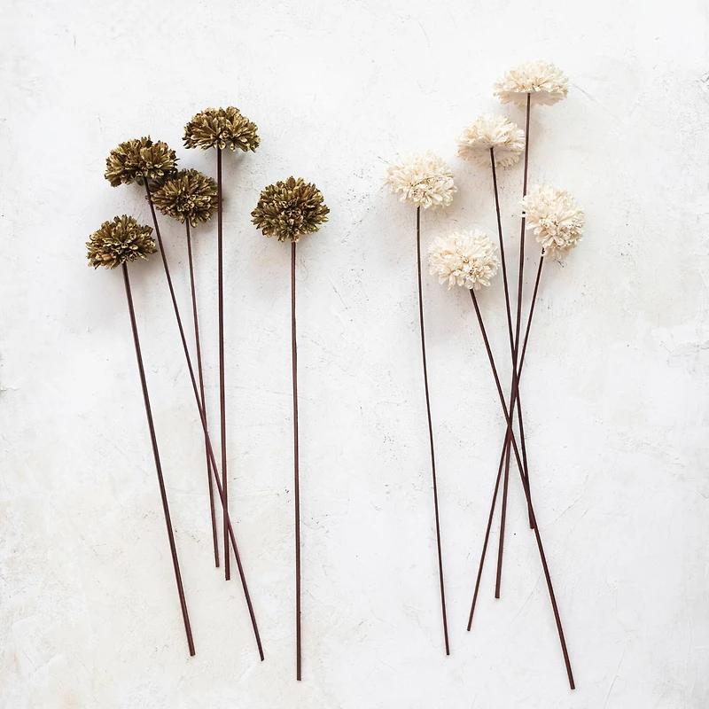 Hello Honey® 23.5" Dried Natural Sesame Flower Stems
