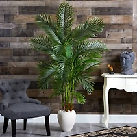 5.75ft. Areca Palm Tree in White Planter