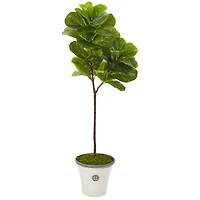 5ft. Fiddle Leaf Tree in Decorative Planter