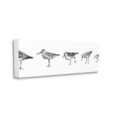 Stupell Industries Sandpiper Bird Stances Minimal Grey White Painting Canvas Wall Art