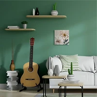 Stupell Industries Pink Poppy Petals Organic Soft Spring Florals Canvas Wall Art