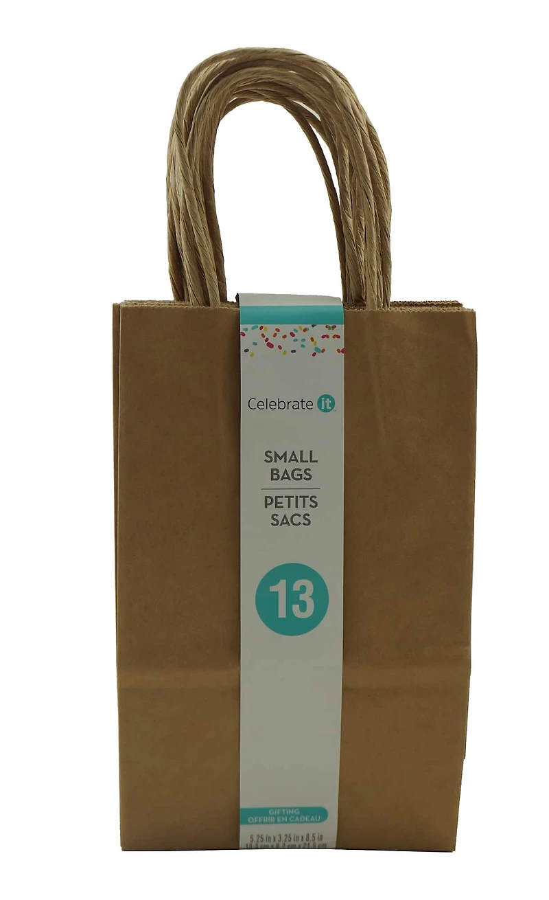 Kraft Small Gift Bags by Celebrate It™