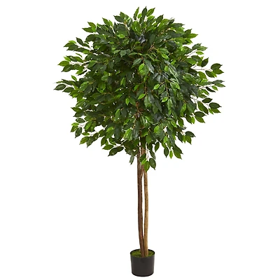 6.5ft. Potted Ficus Artificial Tree