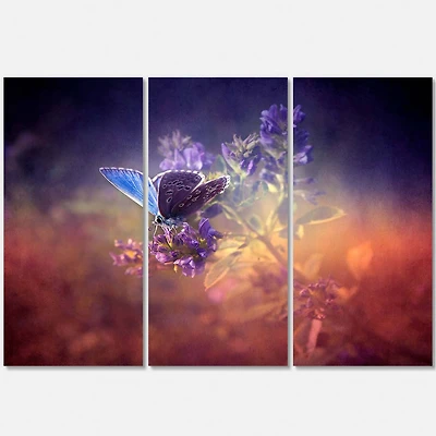 Designart - Vintage Butterfly