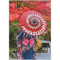 Diamond Dotz® Autumn Elegance Diamond Painting Kit