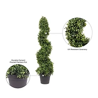3ft. Potted Boxwood Spiral Tree