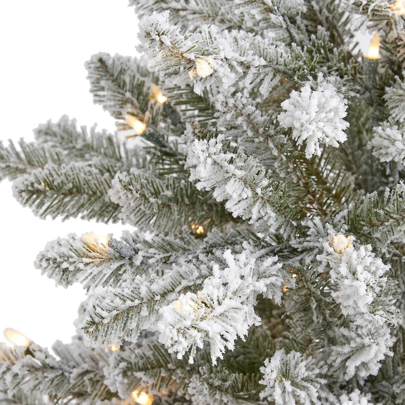 5ft. Pre-Lit West Virginia Spruce Artificial Christmas Tree, Clear LED Lights