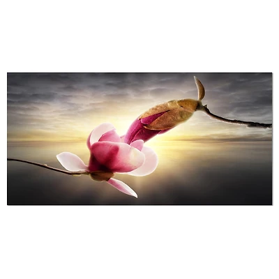 Designart - Beautiful Magnolia Flowers - Large Floral Canvas Art Print