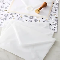 12 Packs: 10 ct. (120 total) White Vellum Envelopes by Recollections™