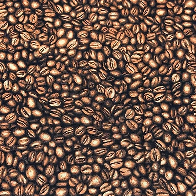 Feldman Coffee Bean Cotton Fabric