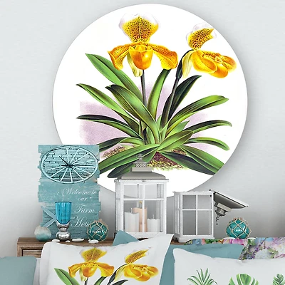 Designart - Vintage Yellow Orchid