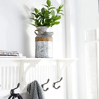 9" Gray Decorative Farmhouse Milk Can