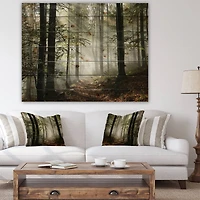 Designart - Light in Dense Fall Forest with Fog