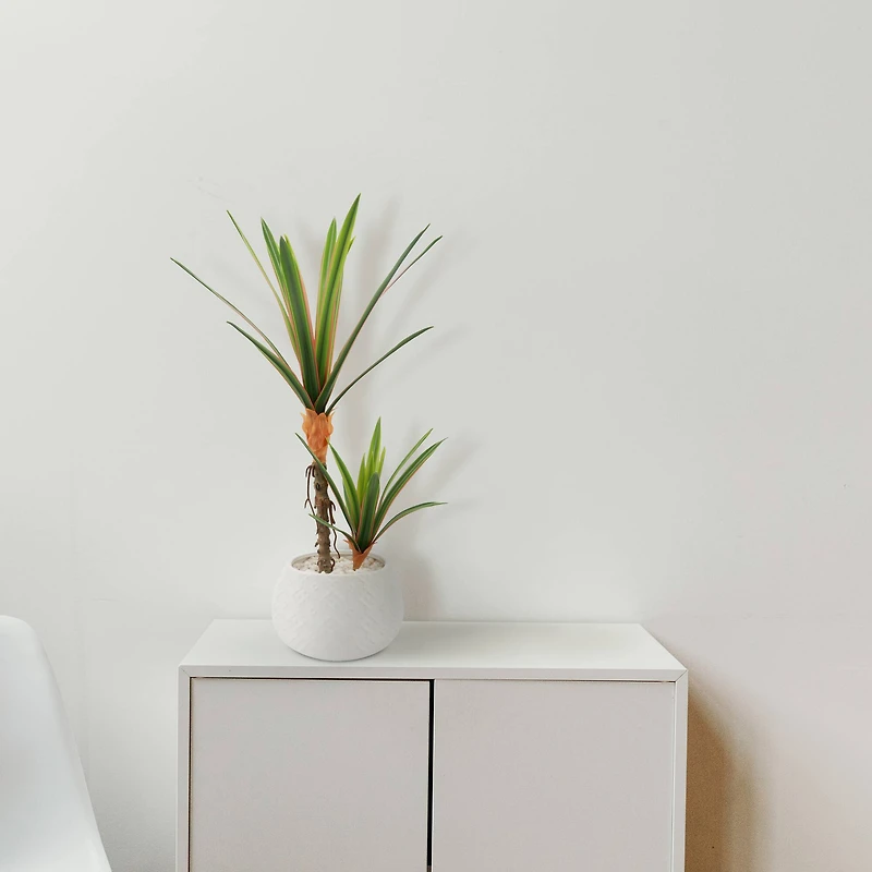 Flora Bunda® 17" Yucca Plant in White Ceramic Planter