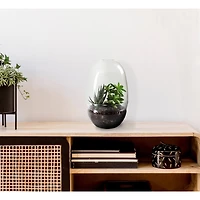 Hello Honey® 13" Large Clear Glass Terrarium