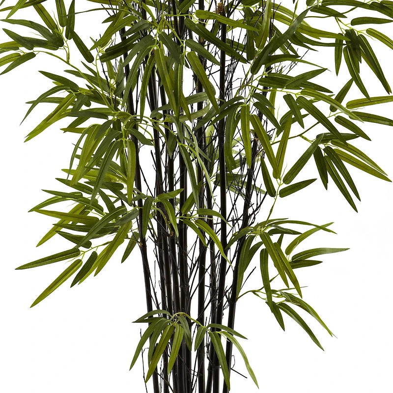 4ft. Potted Black Bamboo Tree