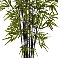4ft. Potted Black Bamboo Tree