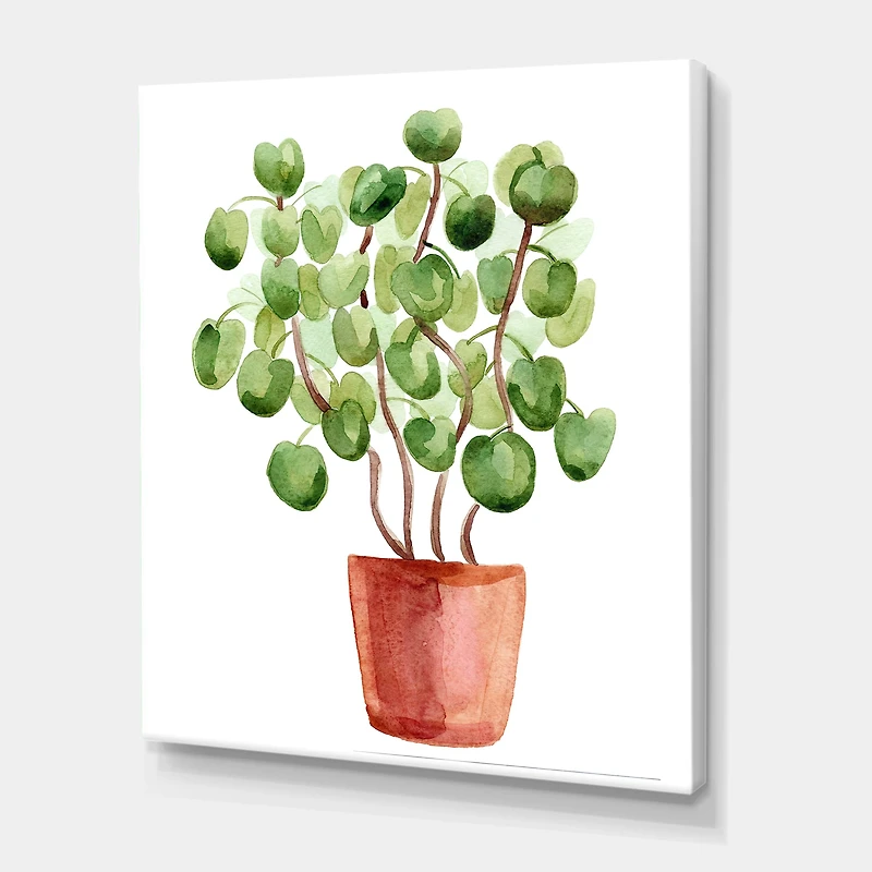 Designart - Chinese Money Plant In Pot