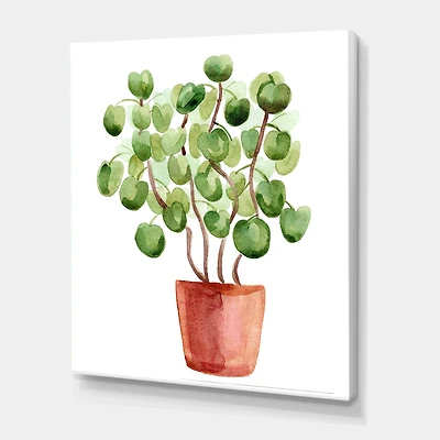 Designart - Chinese Money Plant In Pot