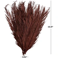 43" Natural Dried Plant Palm Leaf Bunch with Feather-Inspired Stems