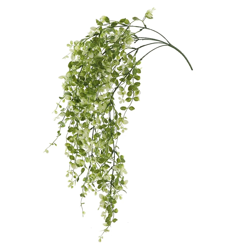Two Toned Green Hanging Smilax Bush by Ashland®