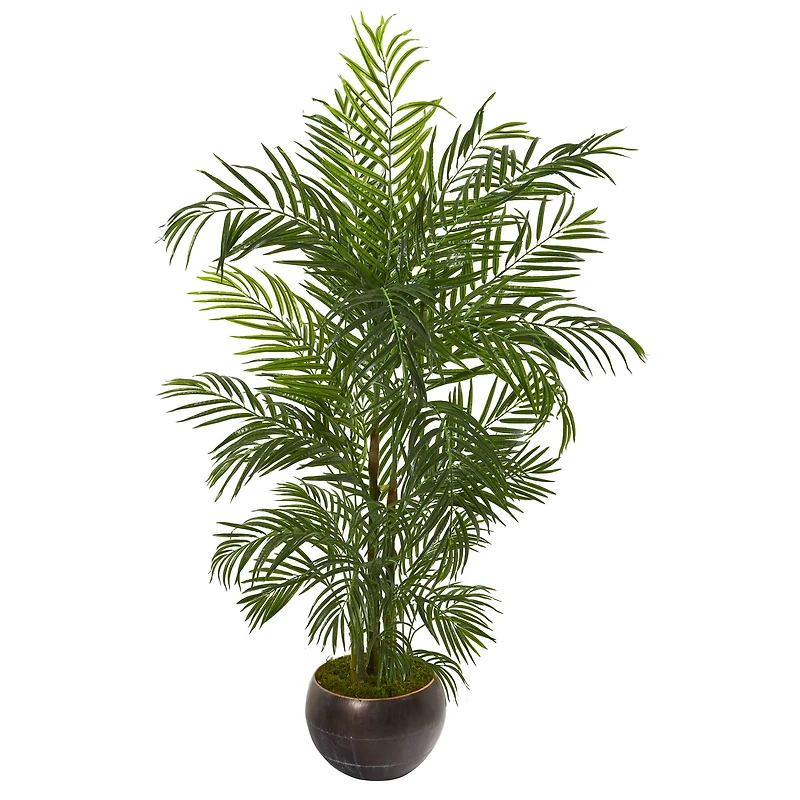5.5ft. Areca Palm Tree in Brown Planter