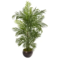 5.5ft. Areca Palm Tree in Brown Planter
