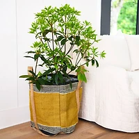 Hello Honey® 24" Mustard Striped Woven Jute Tote with Liner