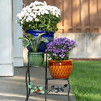 3 Jewel-Tone Flower Pot Set