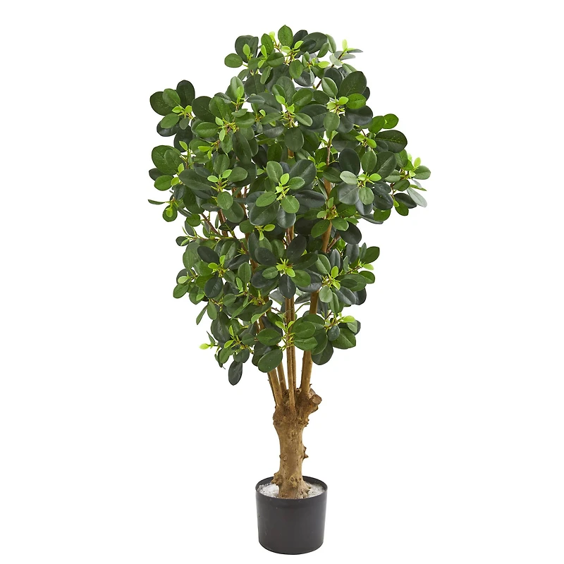 3ft. Potted Panda Ficus Tree