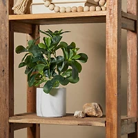 The Novogratz 14" Green Eucalyptus Faux Foliage Artificial Plant with White Marble Pot
