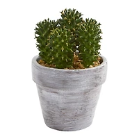 8" Assorted Potted Cactus Plant, 3ct.