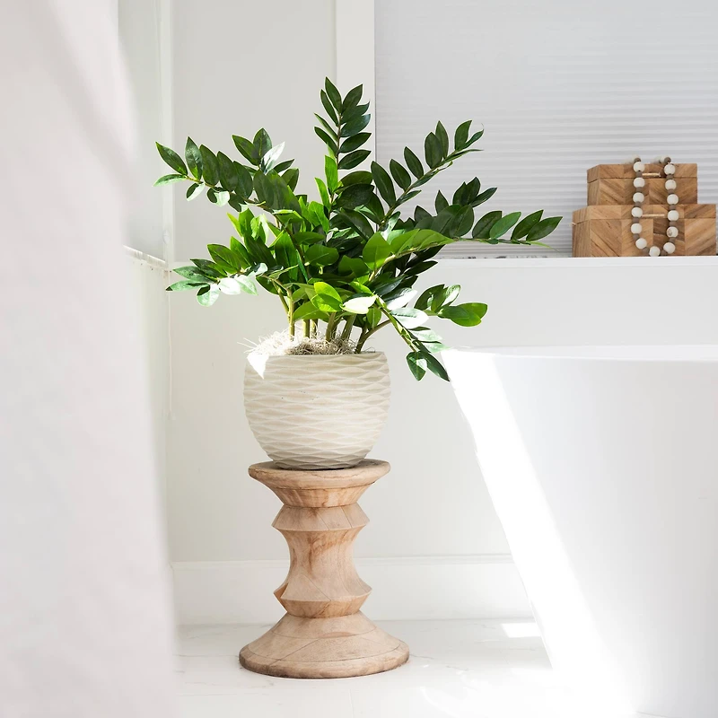 28" Artificial Zamioculcas Plant with Decorative Planter