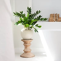 28" Artificial Zamioculcas Plant with Decorative Planter