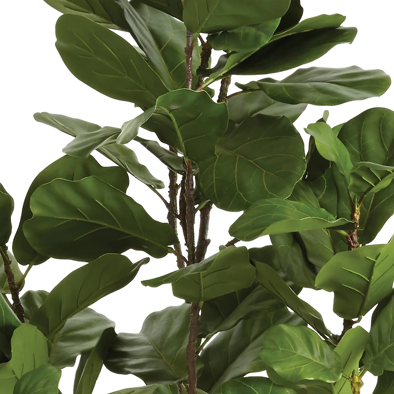 6.5ft. Fiddle Leaf Fig Tree