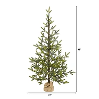 4ft. Pre-Lit Fraser Fir Artificial Christmas Tree, Clear LED Lights