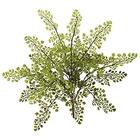Maiden Hair Fern Spray, 12ct.