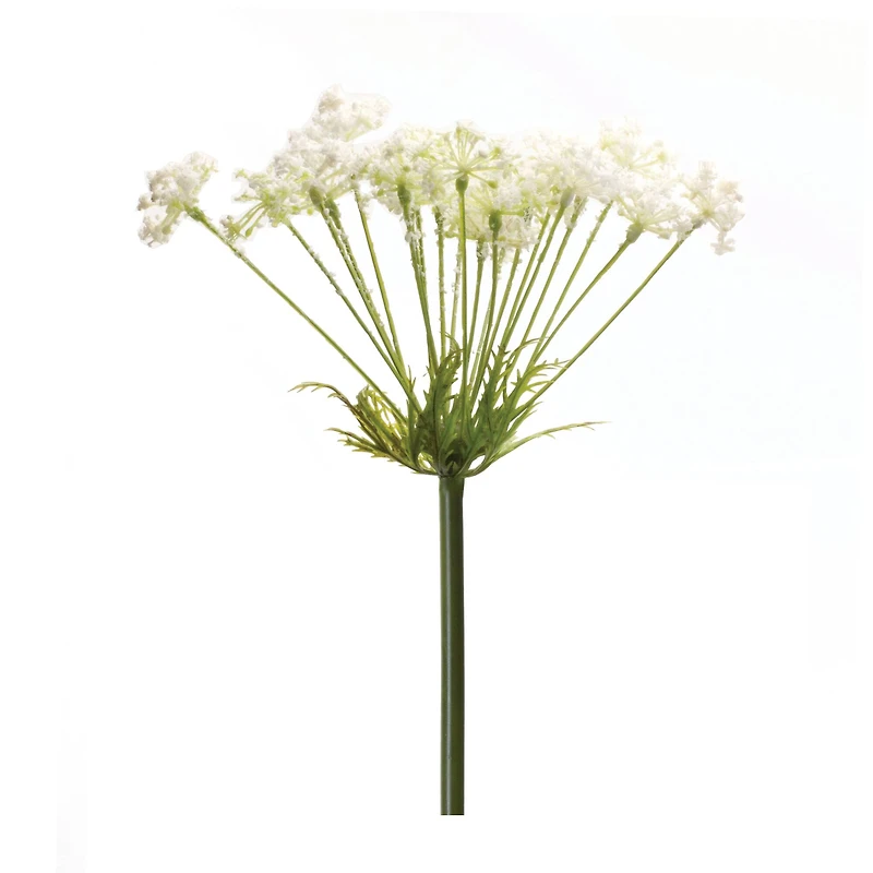 Queen Anne's Lace Stem, 2ct.