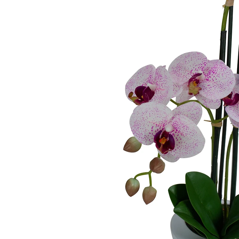 21" Pink & White Orchid Plant in White Pot