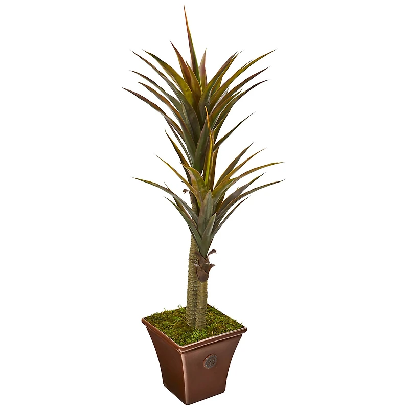 5ft. Green Yucca Tree in Planter