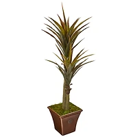 5ft. Green Yucca Tree in Planter