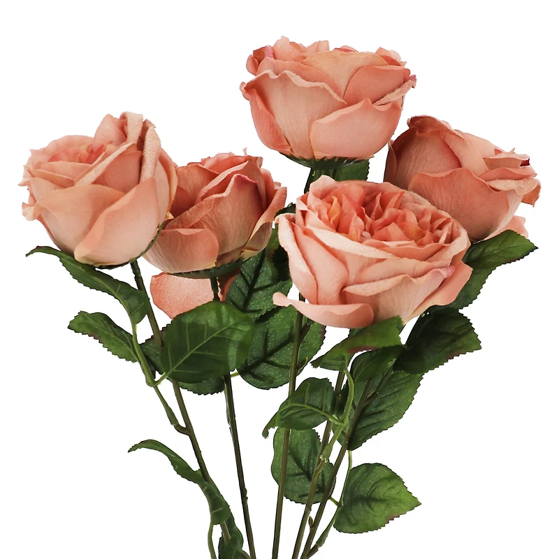 19" Pink Cabbage Rose Deluxe Bush by Ashland®