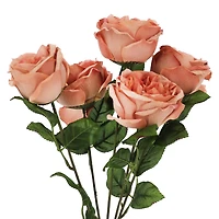 19" Pink Cabbage Rose Deluxe Bush by Ashland®