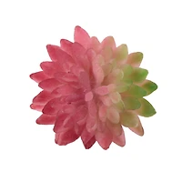 Flora Bunda® Pink Bean Succulent Pick, 12ct.